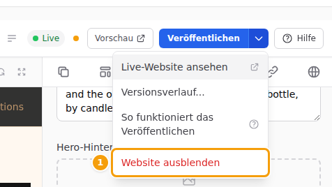 Website ausblenden (1) im Menü neben Veröffentlichen
