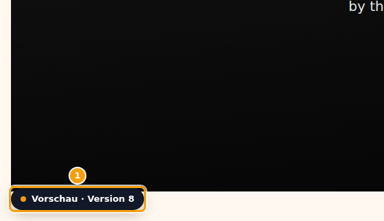 Eine ältere Version in einem eigenen Tab, mit der Anzeige Vorschau · Version 8 (1)