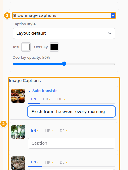 Show image captions (1) and the captions per photo (2)
