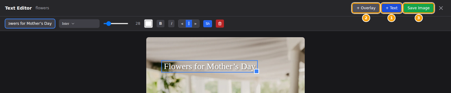 + Text (1), + Overlay (2) and Save Image (3) in the Text Editor